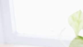 Photo: Unsplash/@kylejglenn