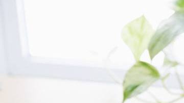 Photo: Unsplash/@kylejglenn