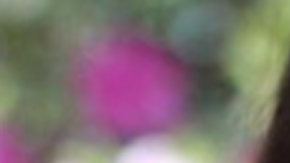 Photo: Instagram/thevalaroundtown