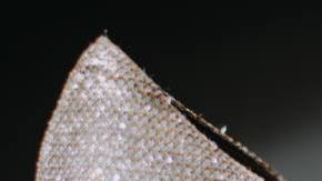 Photo: Unsplash/@aliffhassan91