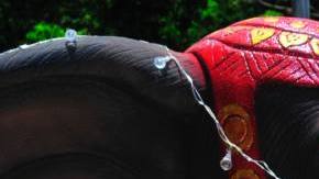 Photo: Unsplash/@boudewijn_huysmans