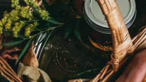 Photo: Unsplash/@primal_harmony