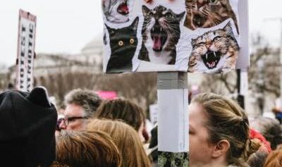 Photo: Unsplash/@chrisboese