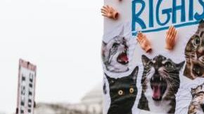 Photo: Unsplash/@chrisboese