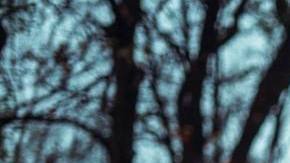 Photo: Unsplash/@elijahsad