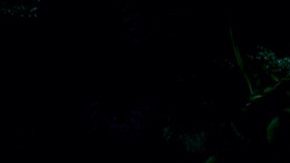 Breathwork and Movement Are the New Meditation HipLatina