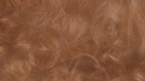 Photo: Unsplash/rawpixel.com