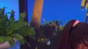 Dominican woman learns English from the ellen show HipLatina