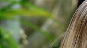 Photo: Wikimedia Commons/Eric Longden