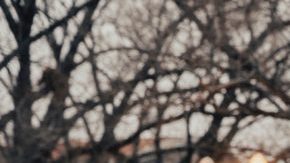 Federal Judges Rules That The U.S. Must Keep DACA and Accept New Applications Hiplatina