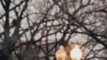 Federal Judges Rules That The U.S. Must Keep DACA and Accept New Applications Hiplatina