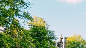 Photo: Unsplash/@adrienolichon