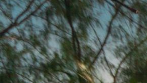 Photo: Unsplash/@akaunas