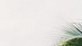 Photo: Unsplash/@aurorakreativ