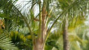 Photo: Unsplash/@chdiaz90