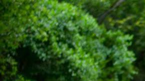 Photo: Unsplash/@ericayon10