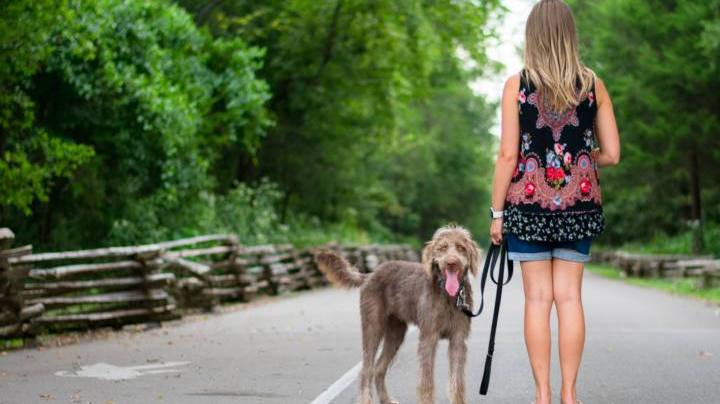 Photo: Unsplash/@ericayon10