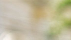 Photo: Unsplash/@mdesign85