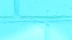 Photo: Unsplash/@thevoncomplex