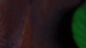 Herbs Mediterranean Diet HipLatina