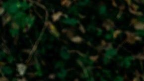 Photo: Unsplash/@noahbuscher