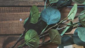 Photo: Unsplash/@ranasawalha