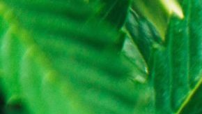 Photo: Unsplash/@rickproctor