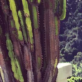 Photo: Instagram/katedelcastillo