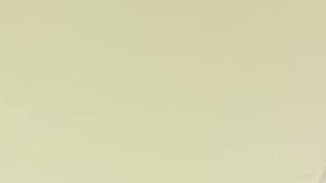 Photo: Instagram/@lobolanos_