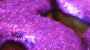 Photo: Instagram//donasofficial