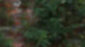 America Ferrera gives birth to baby boy Hiplatina