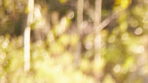 Must-Have Apps for Family Travel Hiplatina