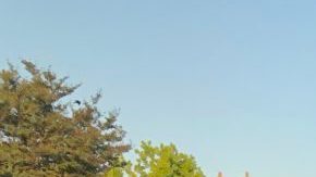 Fiesta in San Antonio