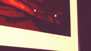 Lola's POV: Destiny, Blocks and Curveballs Hiplatina