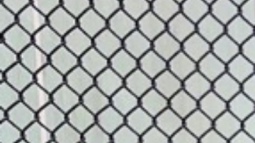 Photo: Instagram/vanesssaromo