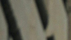 Photo: Unsplash/@dels