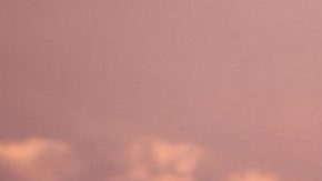 Photo: Unsplash/@evertonvila