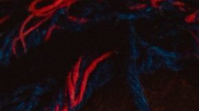 Photo: Unsplash/@irvinmac