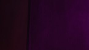 Photo: Unsplash/@miguelherc96