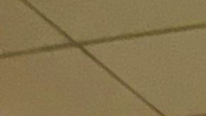 Photo: Unplash/@nathaliarosa