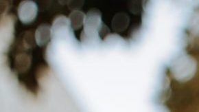 Photo: Unsplash/@omarlopez1