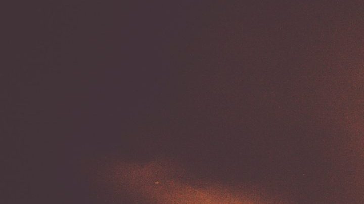 Photo: Unsplash/@yvettedewit