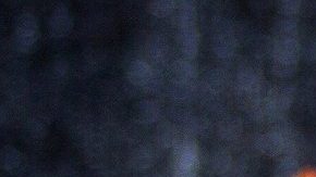 Photo: Wikimedia Commons/Aaron Stathum