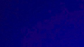 Photo: Wikimedia Commons/jenniferlinneaphotography