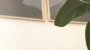 Savage X Fenty lingerie Hiplatina.com