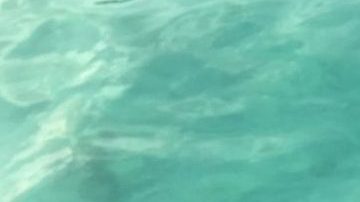 Photo: Courtesy of Lola Montilla