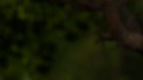 Spying on kids camping Hiplatina