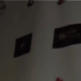 Photo: Wikimedia Commons/  Dulce Osuna