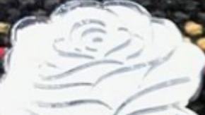 Photo: Instagram                                     /@shopmivida