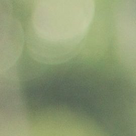 Photo: Unsplash/@arwanod